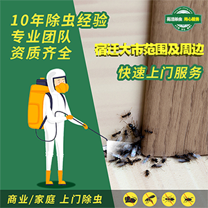 宿遷專(zhuān)業(yè)殺蟲(chóng)